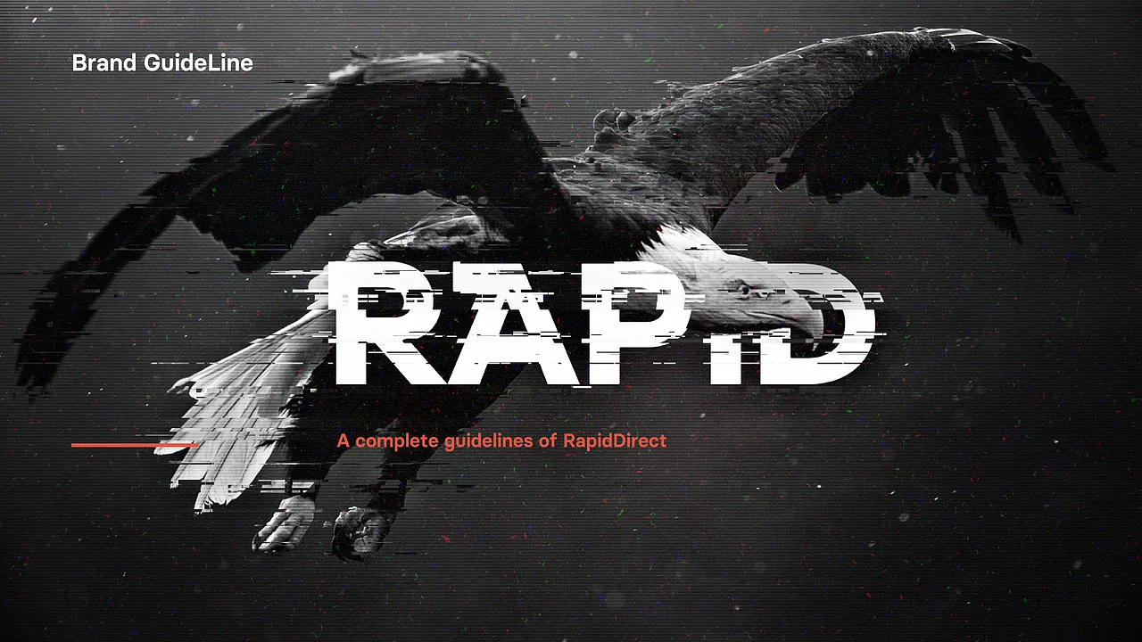 以飞鹰表现 RAPID 品牌意象的方案封面